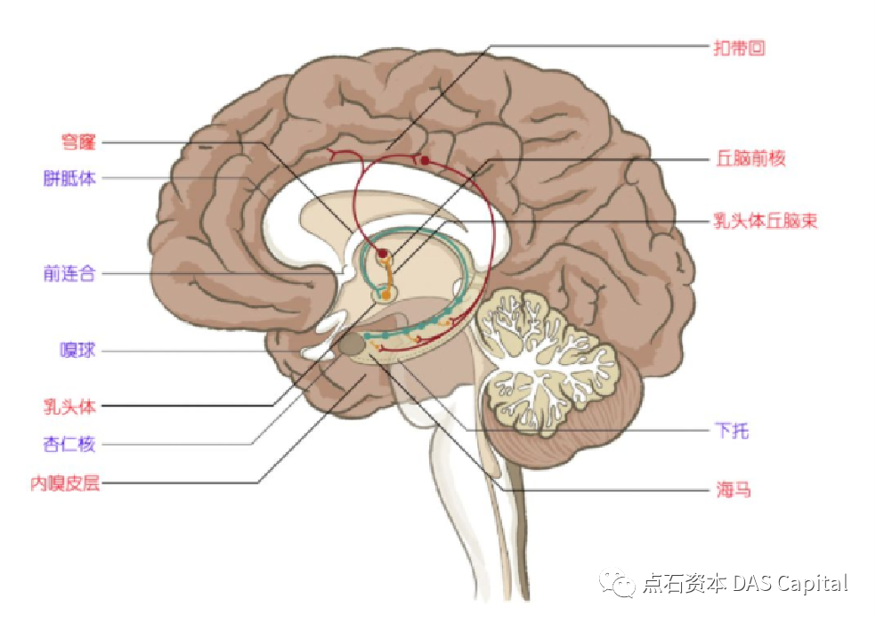 欧博体育_欧博平台_欧博官网登录-欧博APP